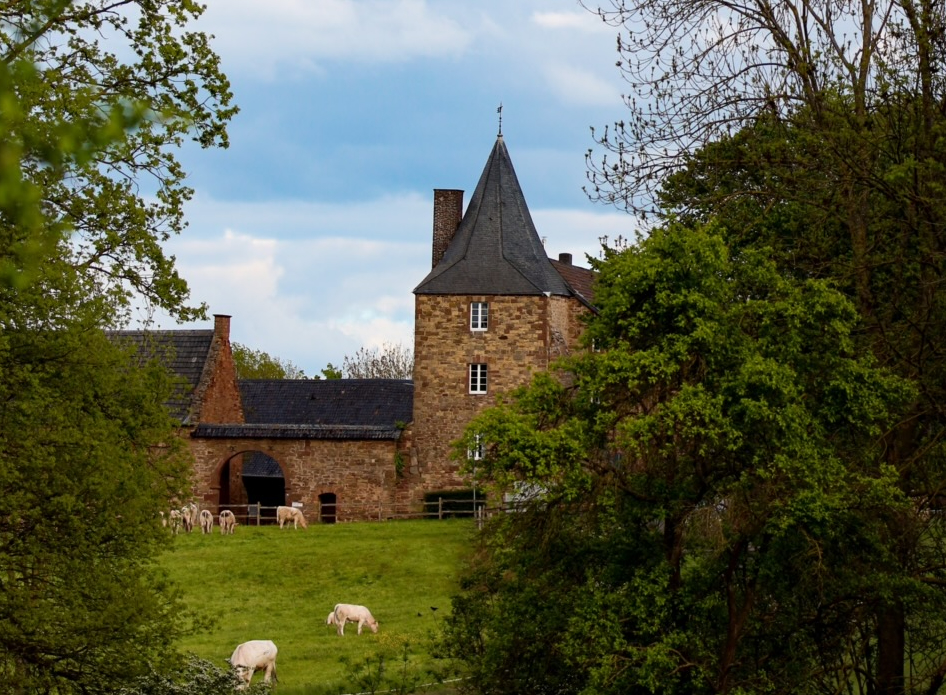Historische Ansicht von Burg Berg